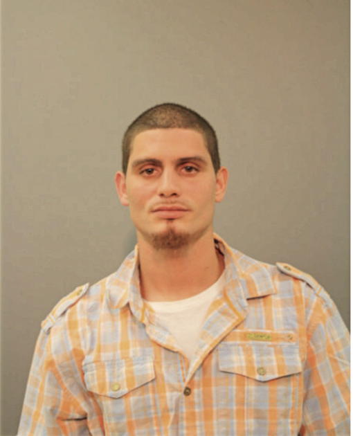 JOSE R DIAZ, Cook County, Illinois