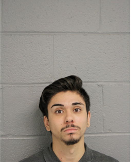 BRIAN FONSECA, Cook County, Illinois