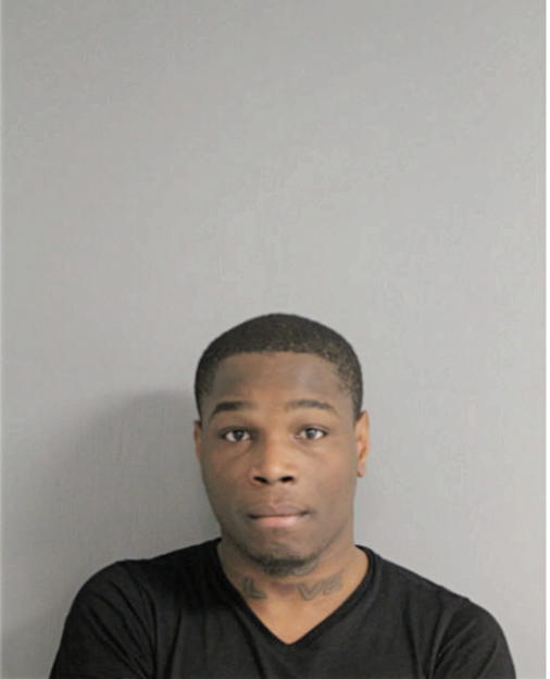 CORY J FULTON, Cook County, Illinois