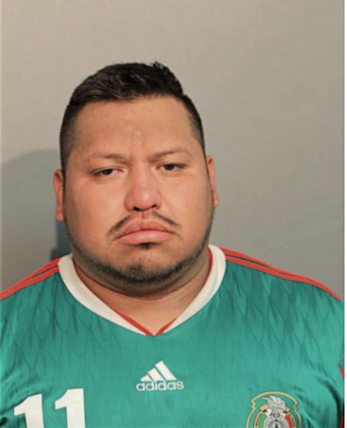FAVIO GONZALES, Cook County, Illinois