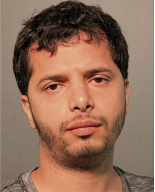 MOHAMMED N HASSAN, Cook County, Illinois