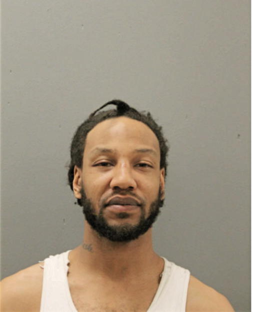 AMOS P JOHNSON, Cook County, Illinois