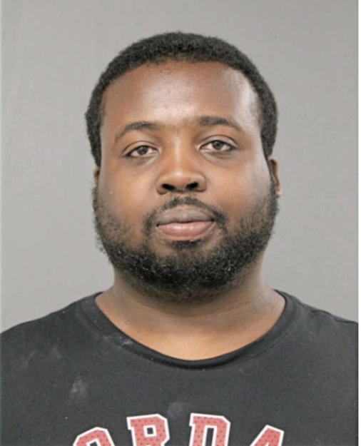 DAVID L JOHNSON, Cook County, Illinois