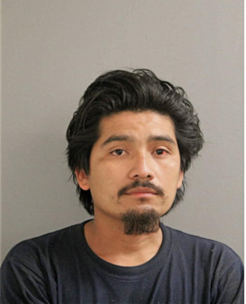 IRVIN DE LOS SANTOS- MARTINEZ, Cook County, Illinois
