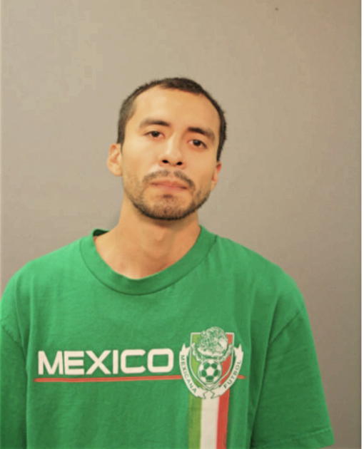 CESAR F MARTINEZ, Cook County, Illinois