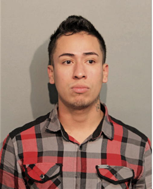 LUIS MENESES, Cook County, Illinois