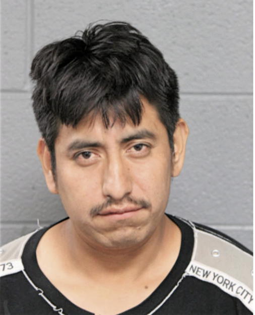 ENRIQUE OCHOA, Cook County, Illinois