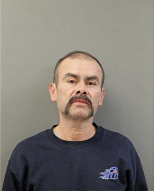 RAUL ORTIZ, Cook County, Illinois