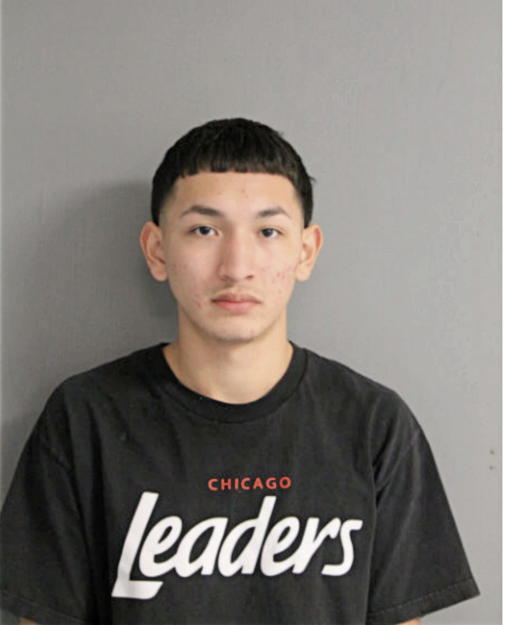 LUIS A RAMIREZ, Cook County, Illinois