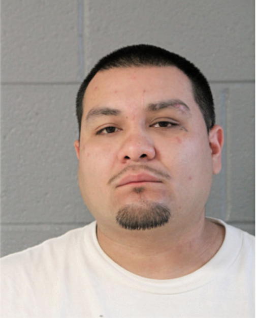 RICARDO REYES, Cook County, Illinois