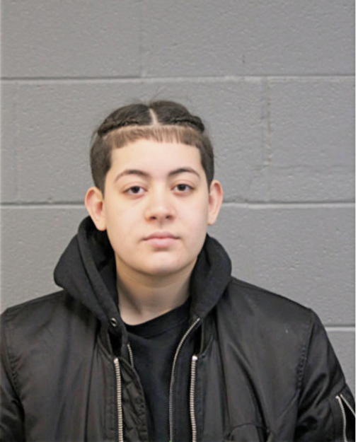 AMANDA A RODRIGUEZ, Cook County, Illinois