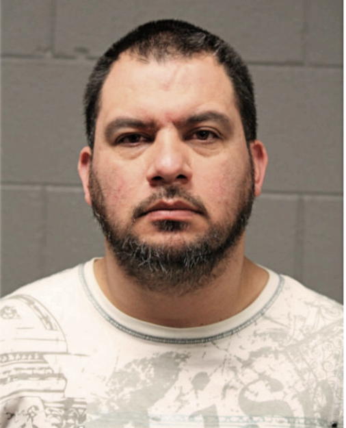 LUIS E VILLASENOR, Cook County, Illinois