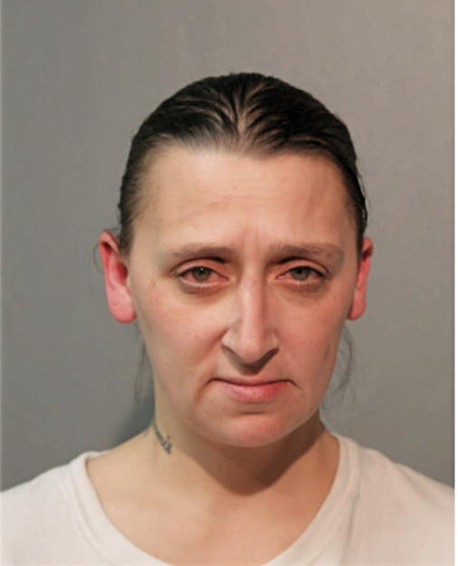 MICHELLE L WARCHOLIK, Cook County, Illinois
