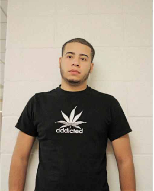 JOSE A DE JESUS JR., Cook County, Illinois
