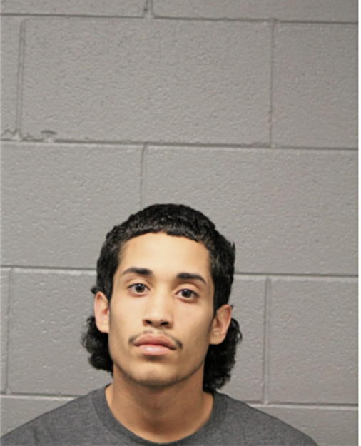 JORGE L ARROYO, Cook County, Illinois