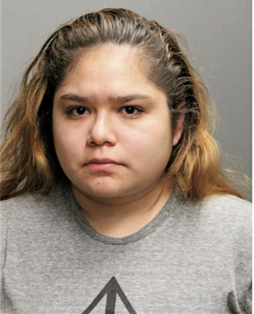ALEXANDRA MARIE CARRION, Cook County, Illinois