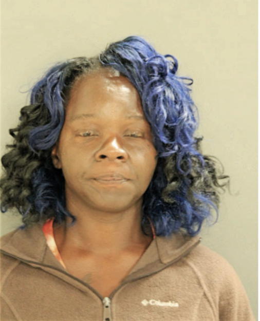 NICOLE L CUNNINGHAM, Cook County, Illinois