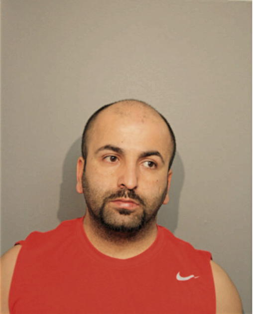 DANI SAMOUIL DAVID, Cook County, Illinois