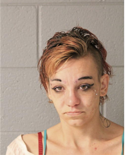 KELLY E DEAN, Cook County, Illinois