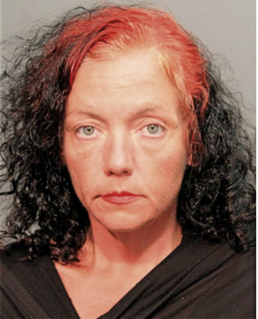 MICHELLE L DEE, Cook County, Illinois
