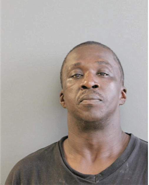 MICHAEL R DIXON, Cook County, Illinois