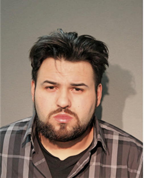 OCTAVIO ESTRADA, Cook County, Illinois