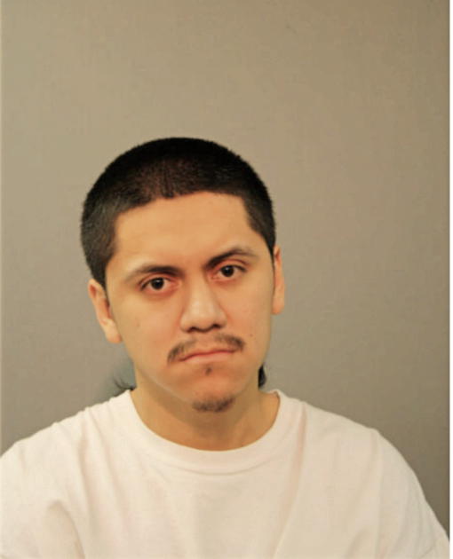 CESAR FUERTE, Cook County, Illinois