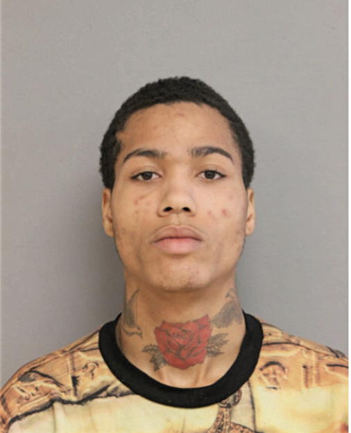 CHRISHON R GREENWOOD, Cook County, Illinois