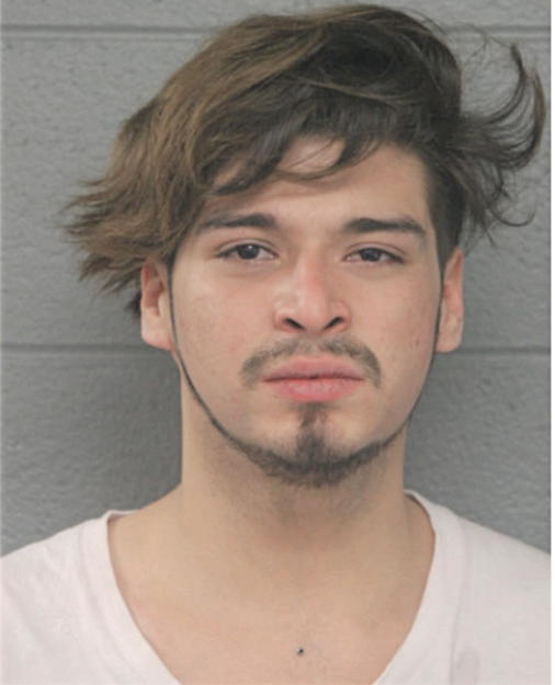 WILLIAM T HALM, Cook County, Illinois