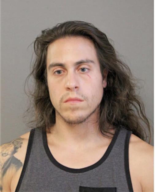 RYAN A LOZOYA, Cook County, Illinois