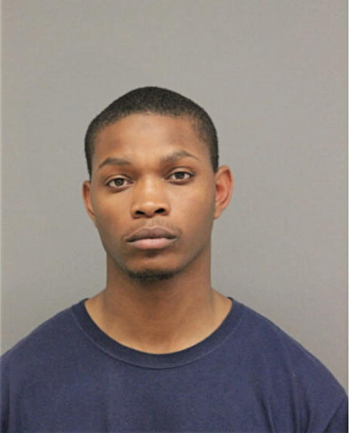 TERRANCE J NELSON, Cook County, Illinois