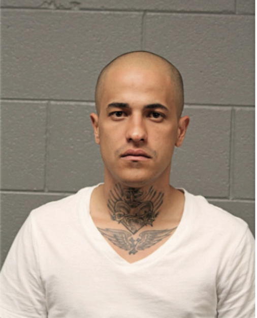 JOSE R POMALES-CANDANEDO, Cook County, Illinois