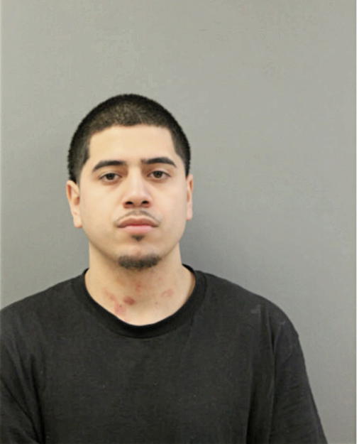 ALBERT ROMAN, Cook County, Illinois