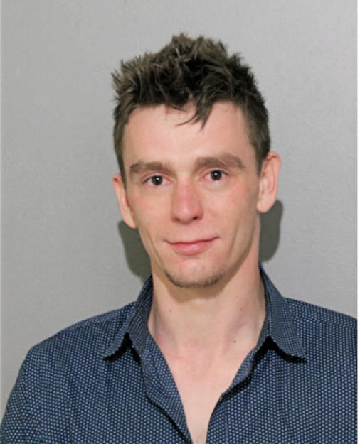 HUBERT P SIEK, Cook County, Illinois
