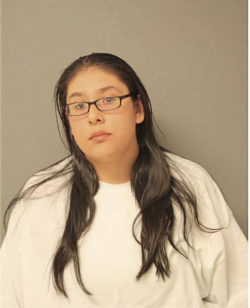 BRIDGET C TORRES, Cook County, Illinois