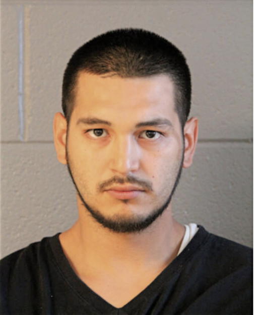 GIOVANNI TORRES, Cook County, Illinois