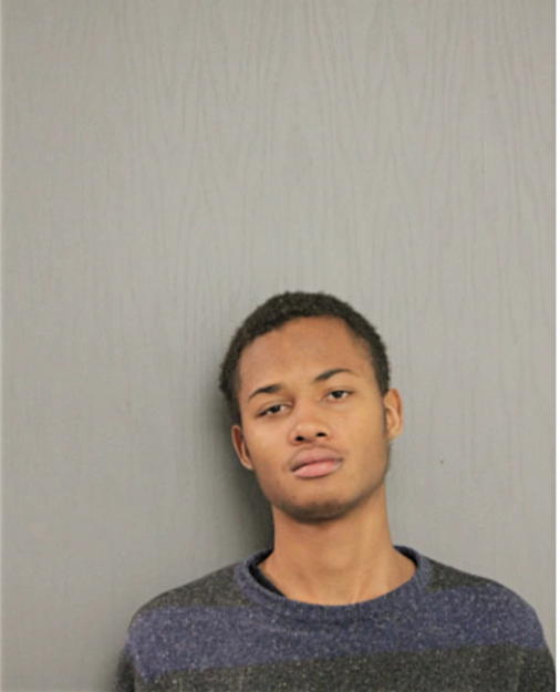 ARNE N TURNER, Cook County, Illinois