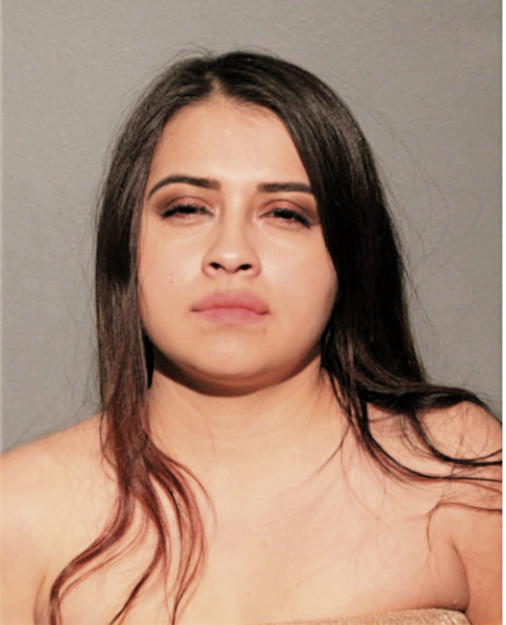 CYNTHIA M VARGAS, Cook County, Illinois