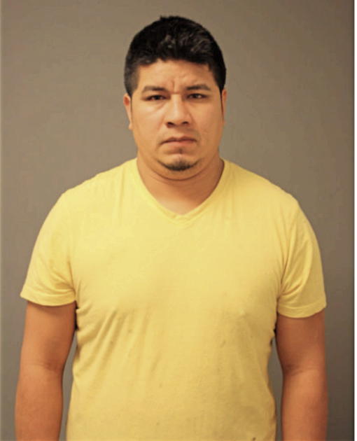 CELVIN ARENALES, Cook County, Illinois