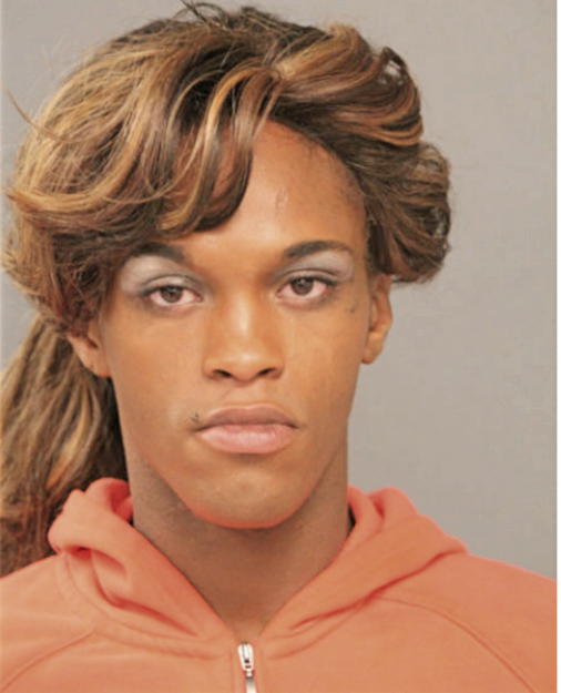DEVIN J BELL, Cook County, Illinois