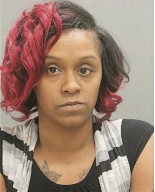 JOYCE E BELL, Cook County, Illinois
