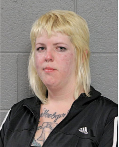 LAUREN P DUREN, Cook County, Illinois