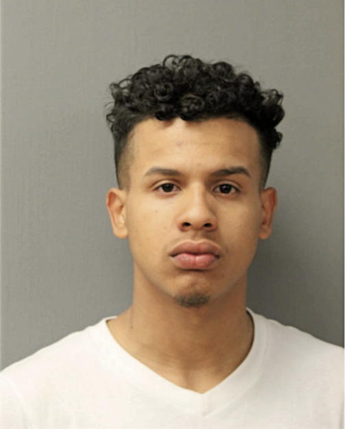 MARIO JESUS FLORES, Cook County, Illinois