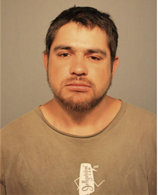 JESUS GARCIA, Cook County, Illinois