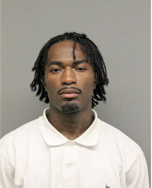 JAMES J GARDNER, Cook County, Illinois