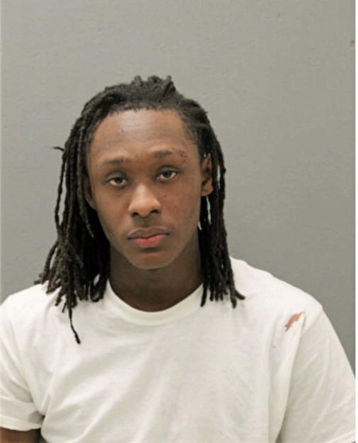 AARON D HENDERSON, Cook County, Illinois