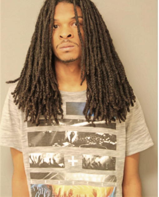 CEDRIC T LANGFORD, Cook County, Illinois