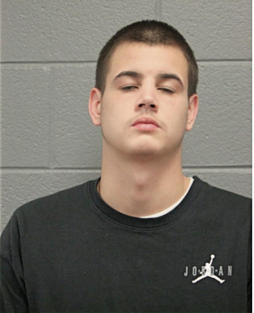 ANTHONY M LUNA, Cook County, Illinois