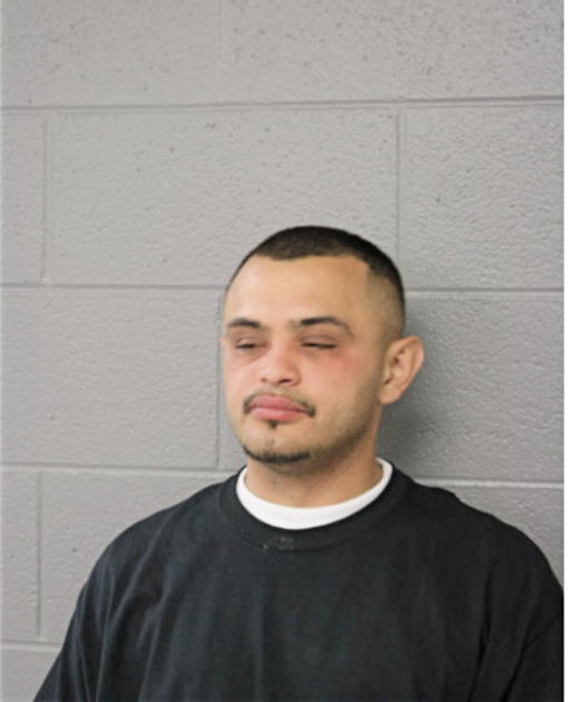 MICHAEL MICHAILIDIS, Cook County, Illinois