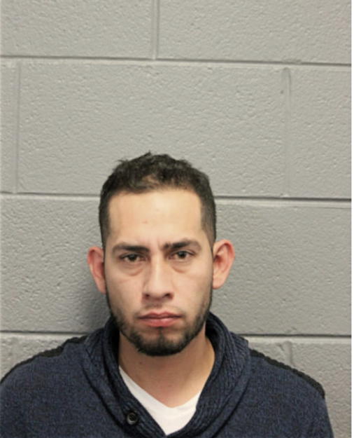 HECTOR JAIME PALOMAR FLORES, Cook County, Illinois